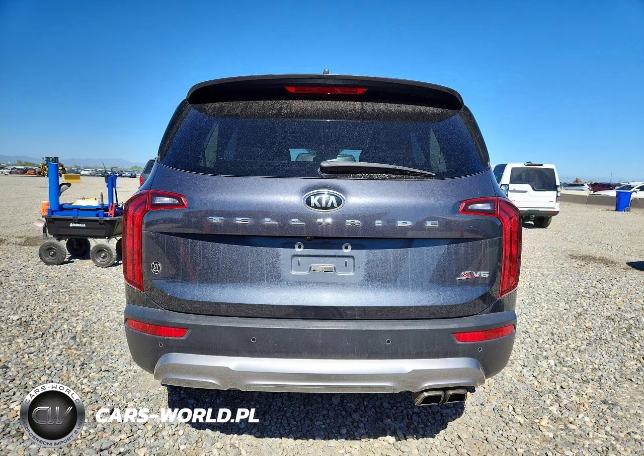 2020 Kia Telluride S VIN:5XYP64HC8LG032230 - 6
