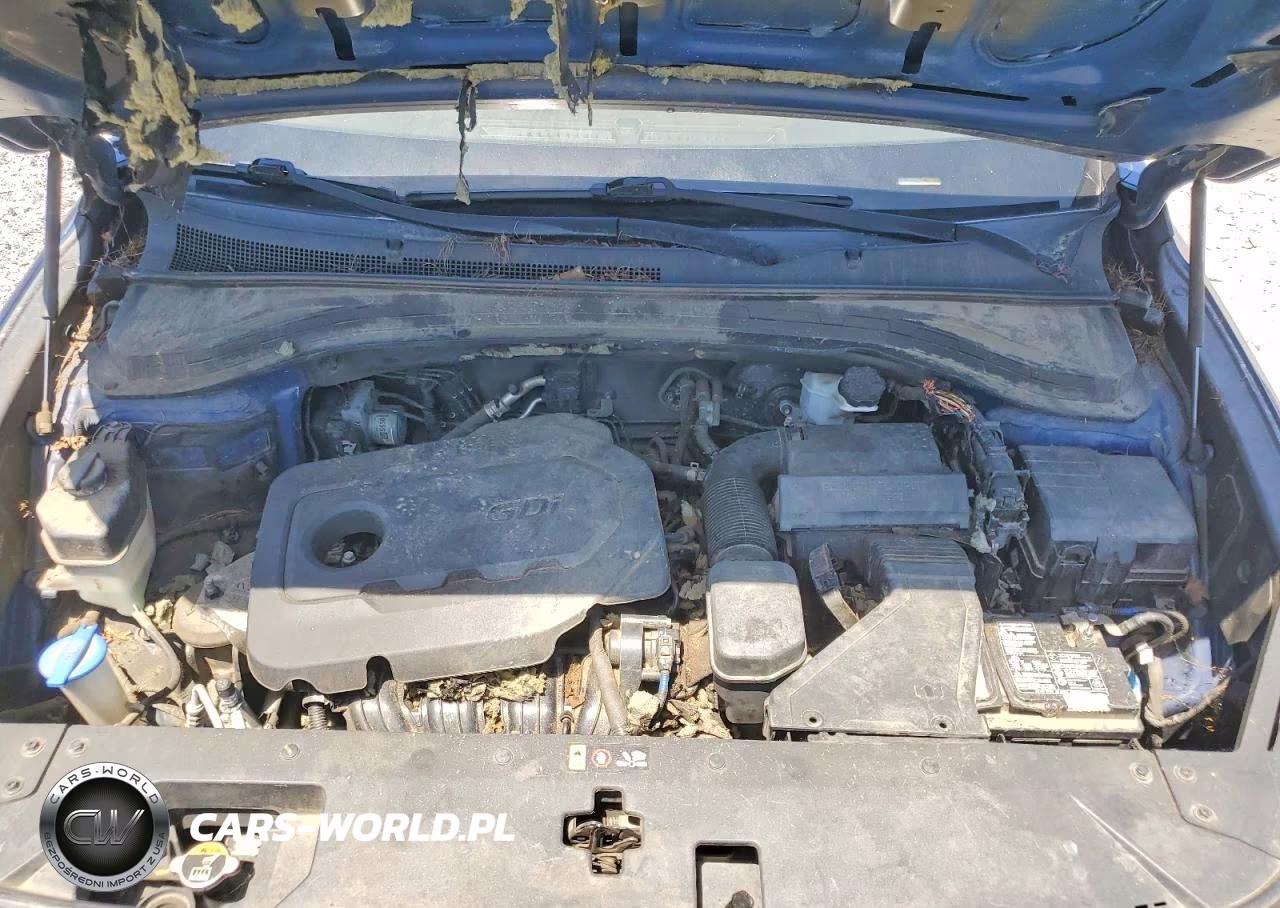 2019 Hyundai Santa Fe Se VIN:5NMS2CAD8KH101683 - 12