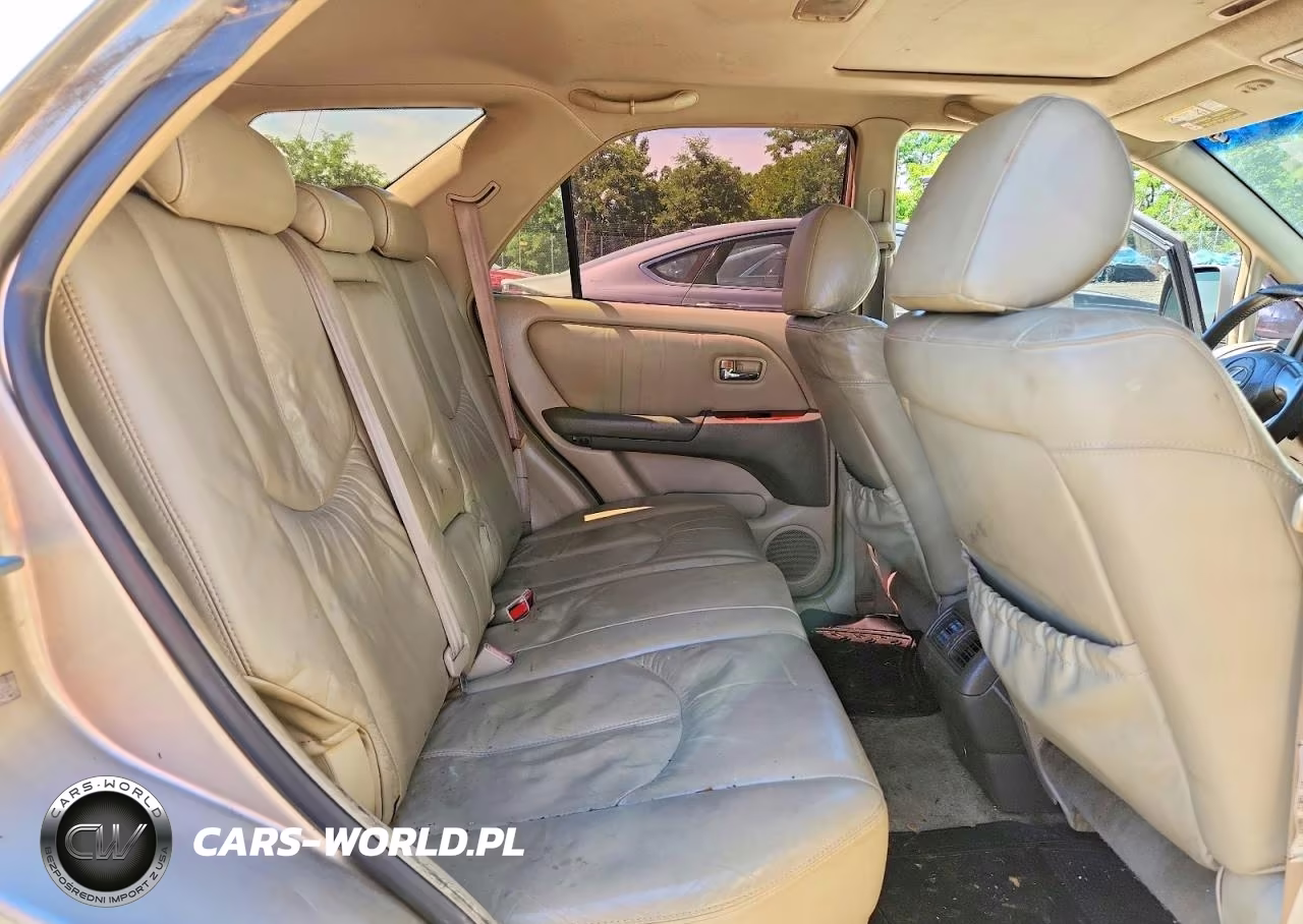 2001 Lexs Rx 300 VIN:JTJGF10U410110019 - 11