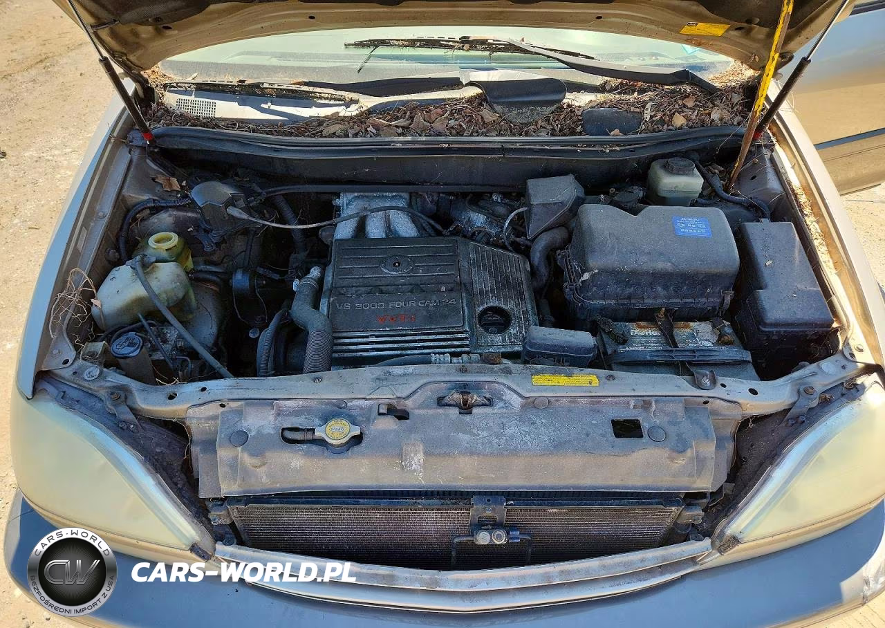 2001 Lexs Rx 300 VIN:JTJGF10U410110019 - 12