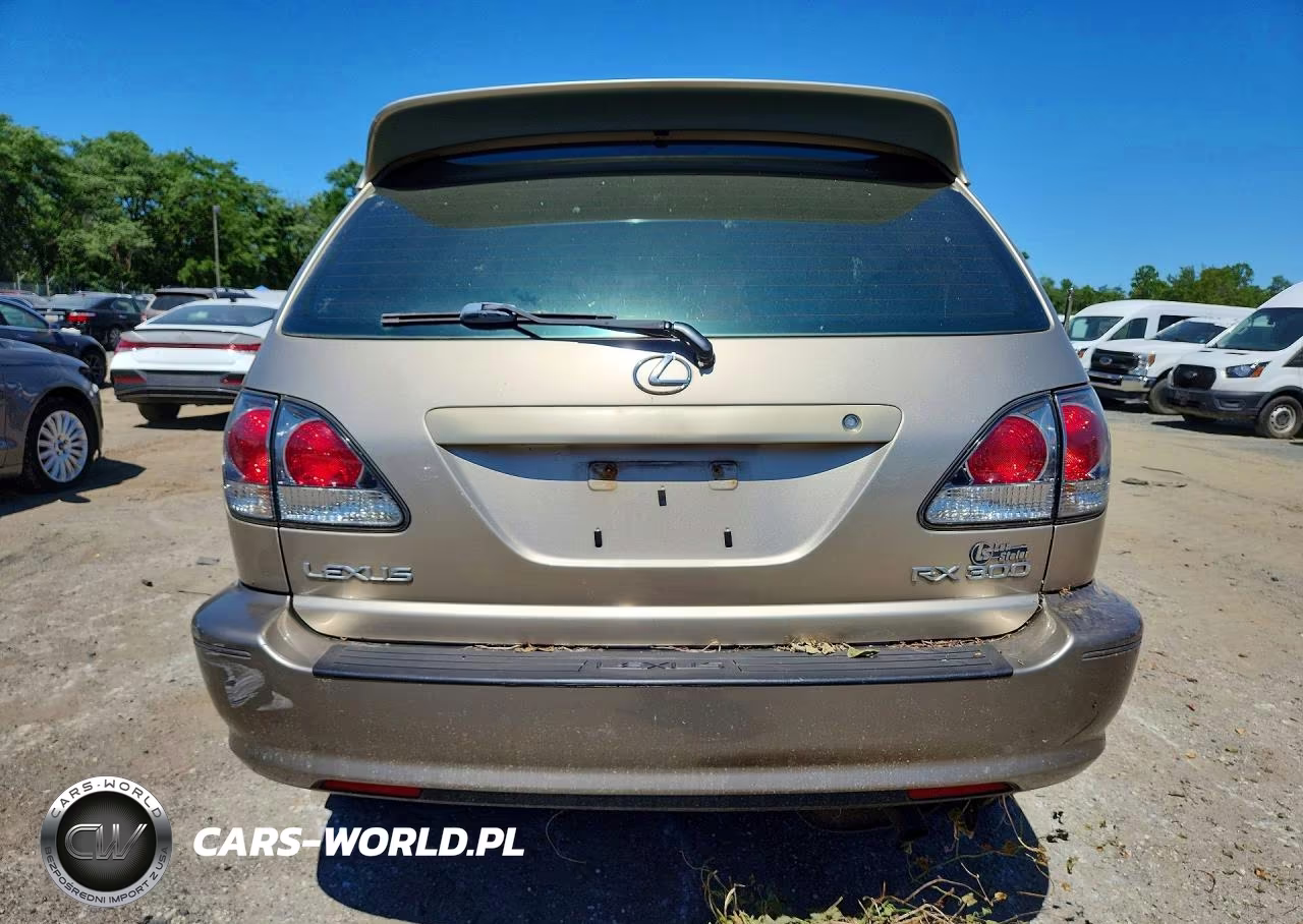 2001 Lexs Rx 300 VIN:JTJGF10U410110019 - 6
