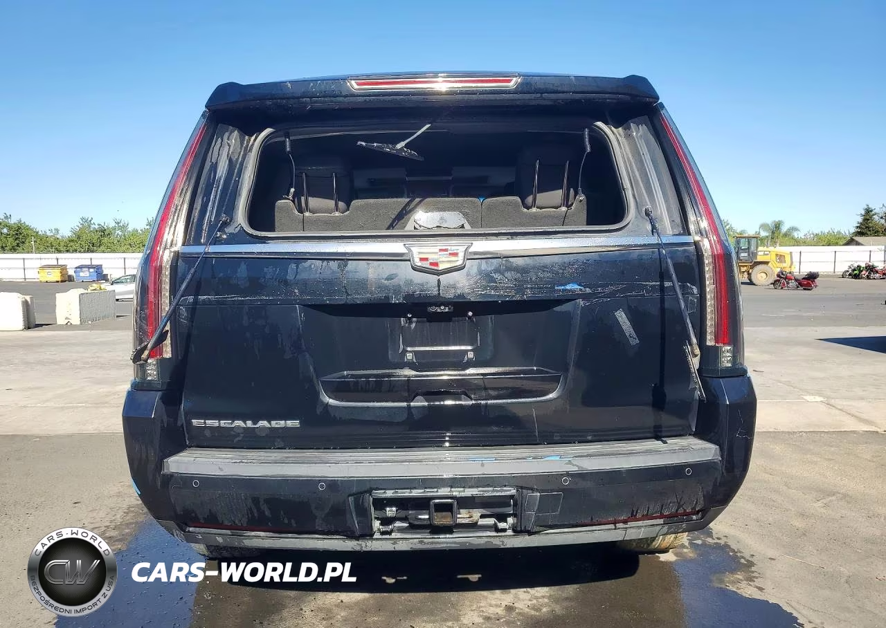 2017 Cadillac Escalade Luxury VIN:1GYS4BKJ3HR155383 - 6