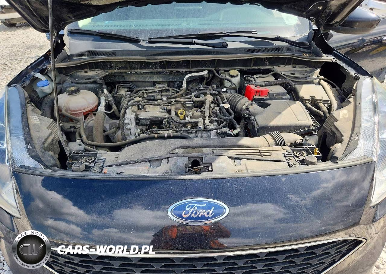 2020 Ford Escape Se VIN:1FMCU9G68LUC78511 - 11