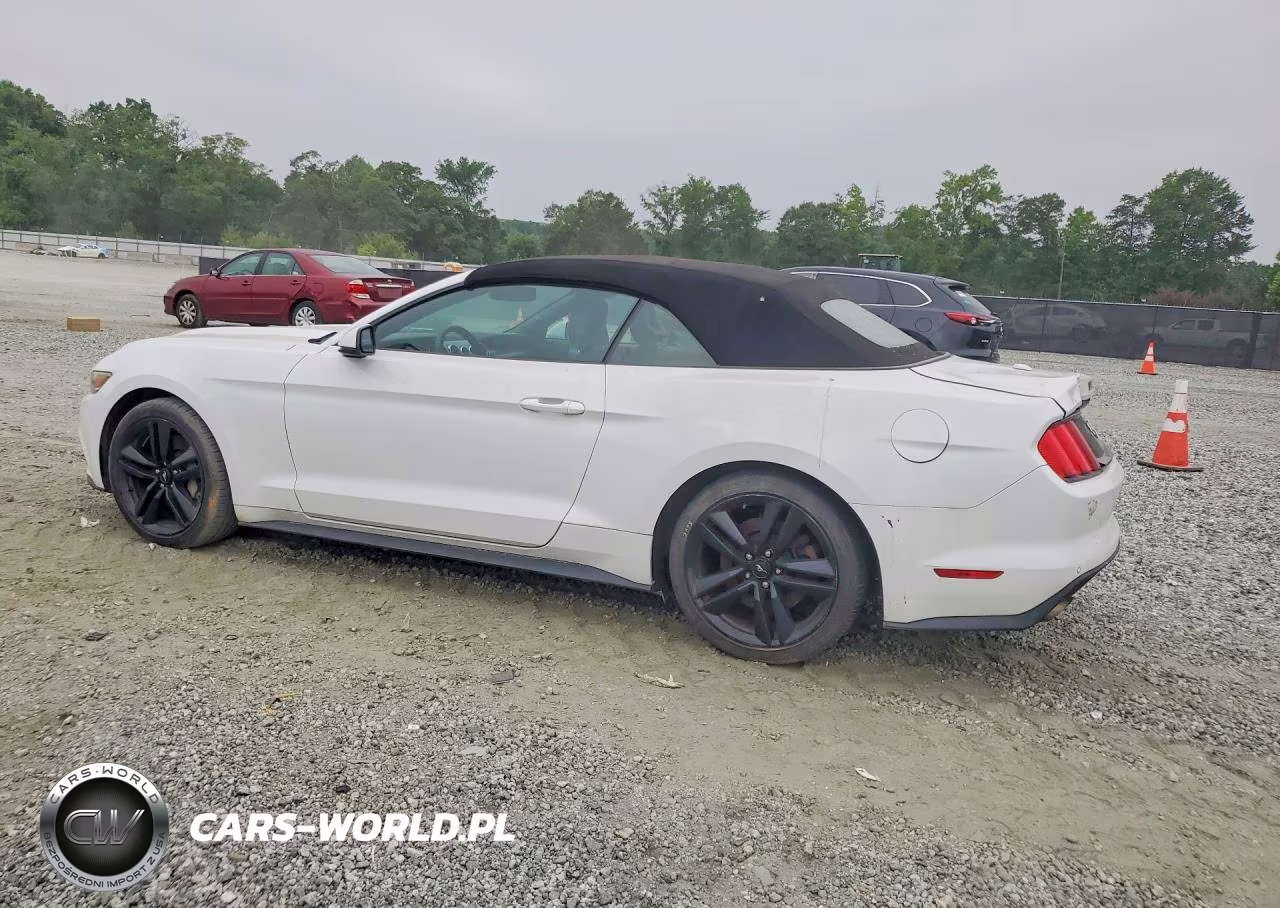 2015 Ford Mustang VIN:1FATP8UH0F5429339 - 2
