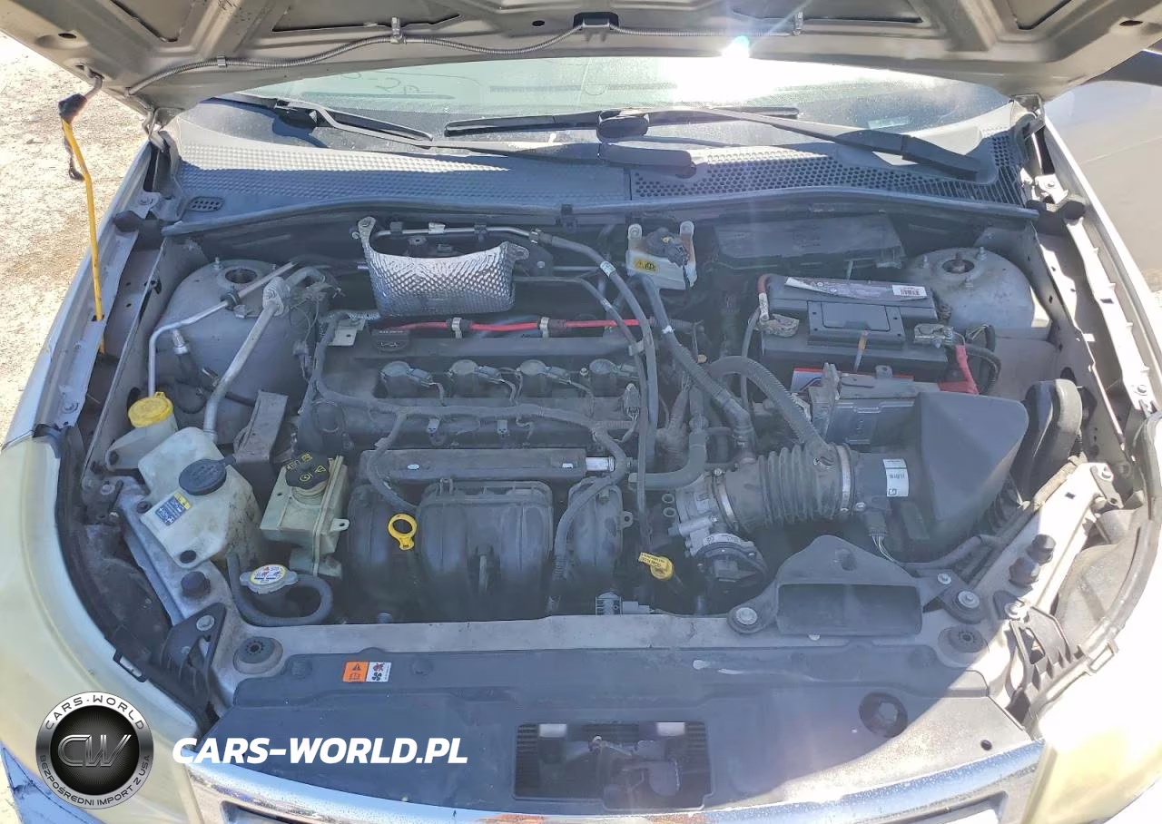 2010 Ford Focus Sel VIN:1FAHP3HN6AW273898 - 11