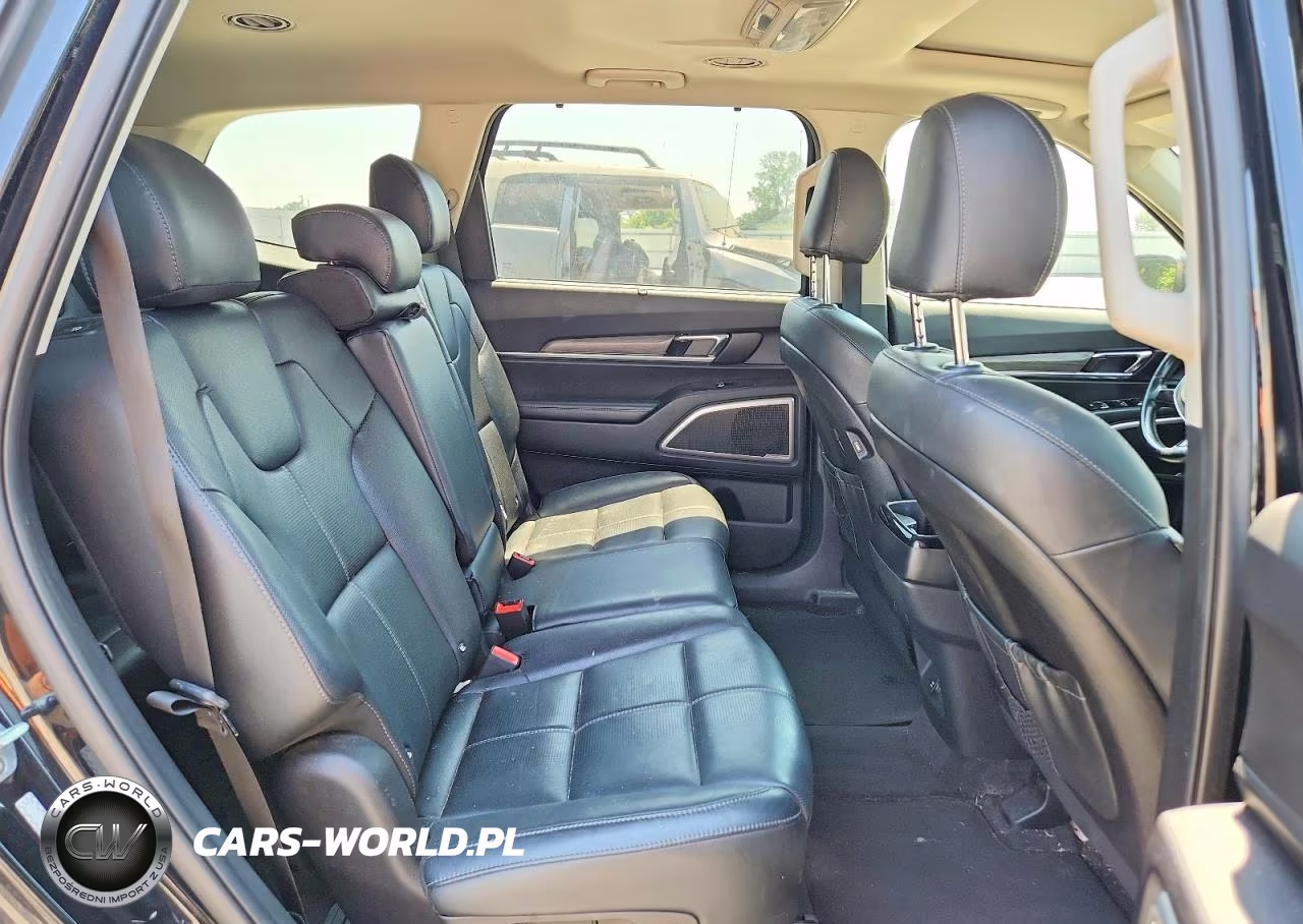 2020 Kia Telluride Ex VIN:5XYP3DHC8LG090394 - 11