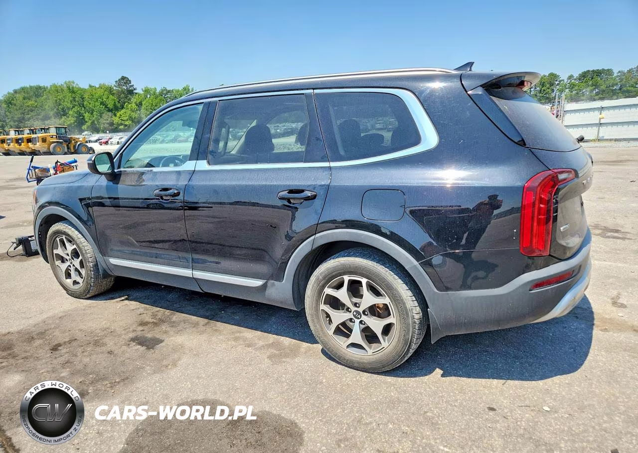 2020 Kia Telluride Ex VIN:5XYP3DHC8LG090394 - 2
