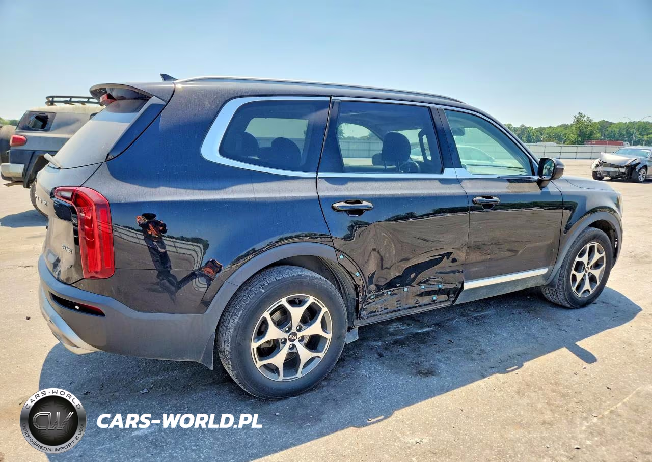 2020 Kia Telluride Ex VIN:5XYP3DHC8LG090394 - 3