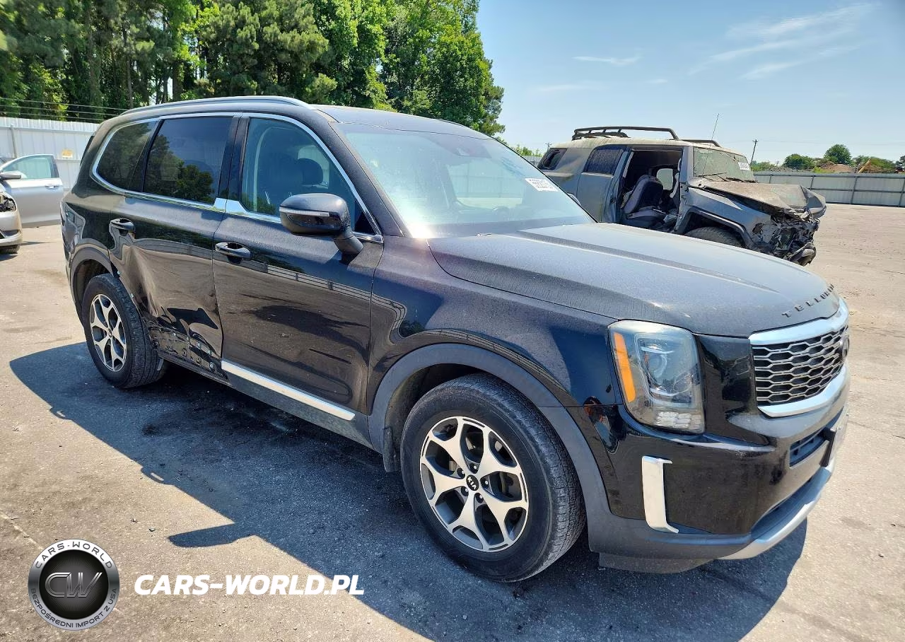 2020 Kia Telluride Ex VIN:5XYP3DHC8LG090394 - 4