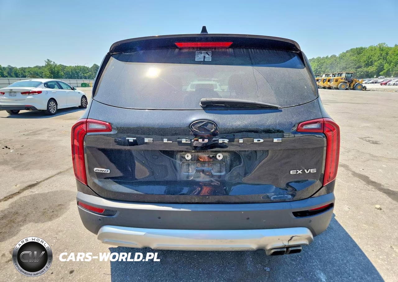 2020 Kia Telluride Ex VIN:5XYP3DHC8LG090394 - 6