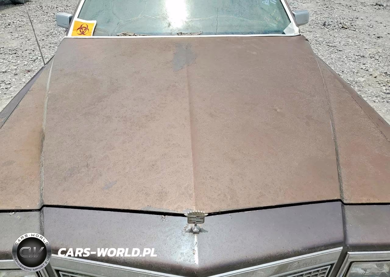 1981 Cadillac Deville VIN:1G6AD479XB9209963 - 11