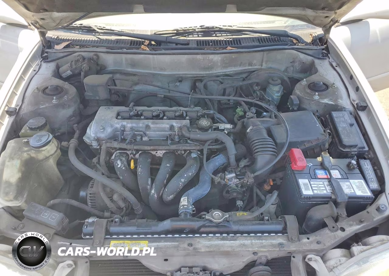 2001 Toyota Corolla S VIN:1NXBR12E81Z524497 - 11