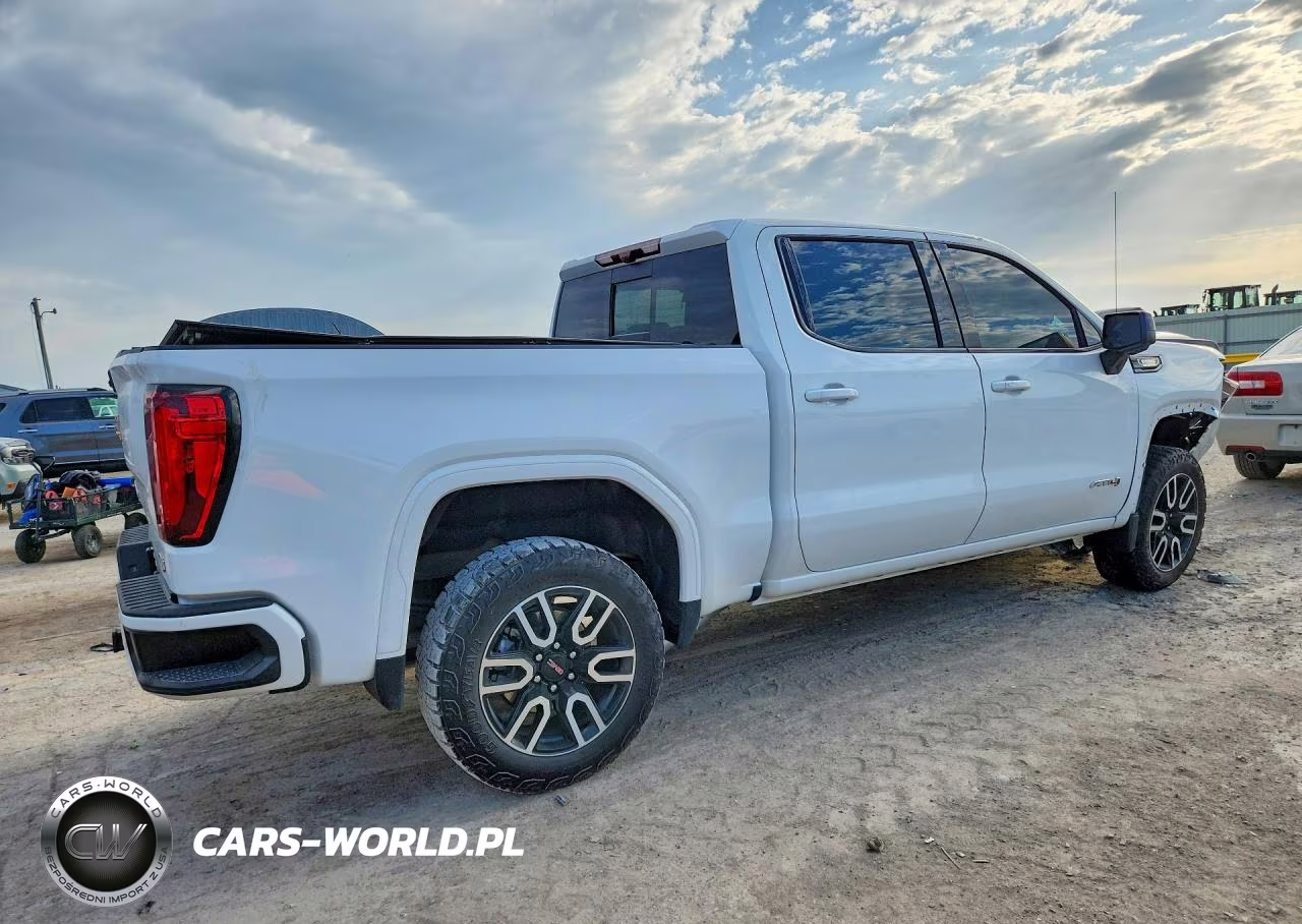 2025 GMC Sierra K1500 At4 VIN:3GTUUEE89SG149135 - 3