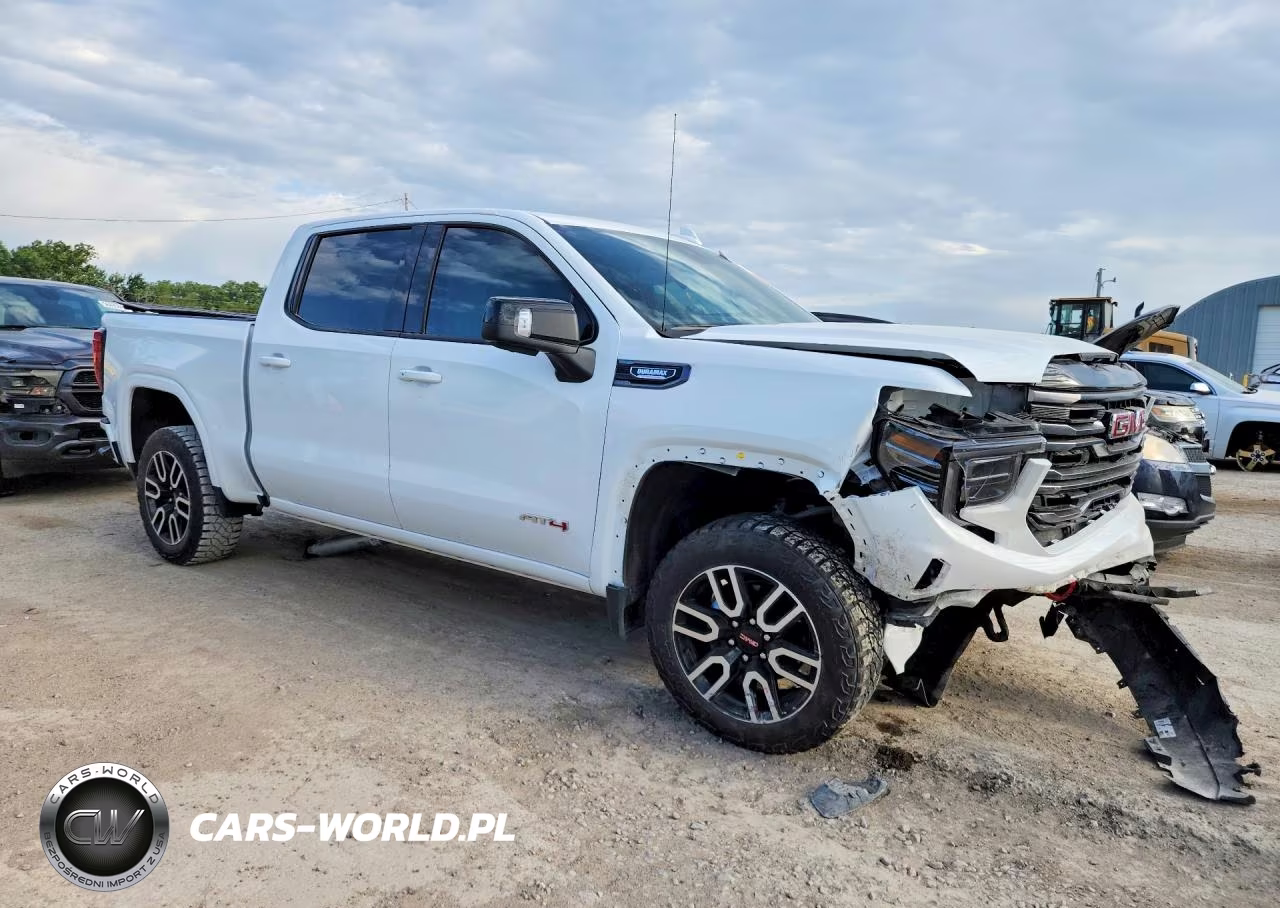 2025 GMC Sierra K1500 At4 VIN:3GTUUEE89SG149135 - 4
