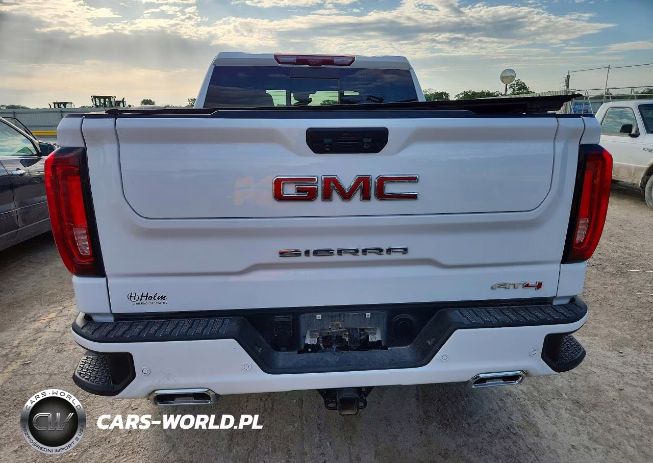 2025 GMC Sierra K1500 At4 VIN:3GTUUEE89SG149135 - 6