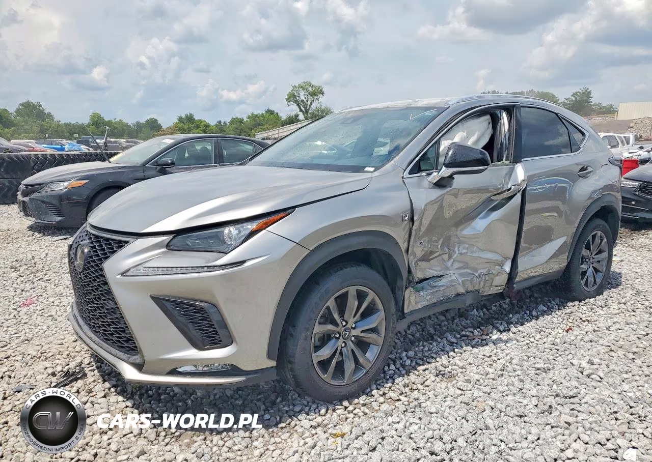 2020 Lexus Nx 300 F Sport