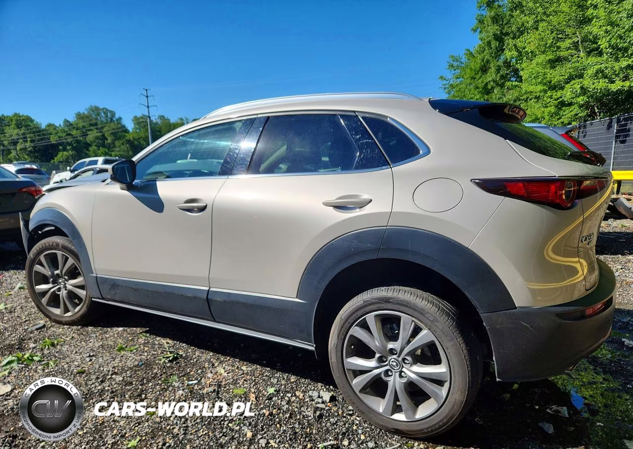 2024 Mazda Cx-30 Premium VIN:3MVDMBDMXRM649733 - 2
