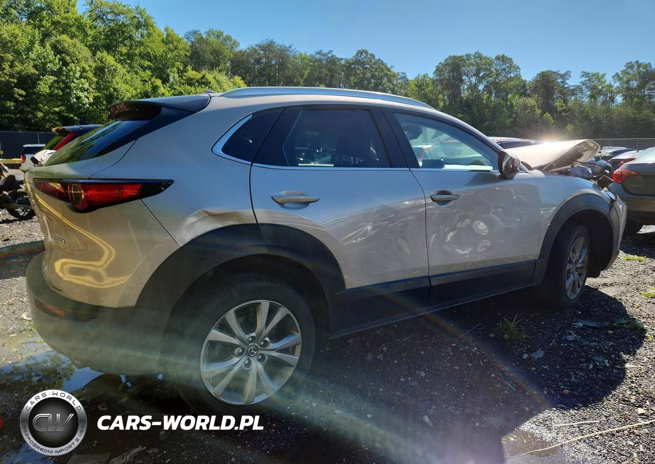 2024 Mazda Cx-30 Premium VIN:3MVDMBDMXRM649733 - 3