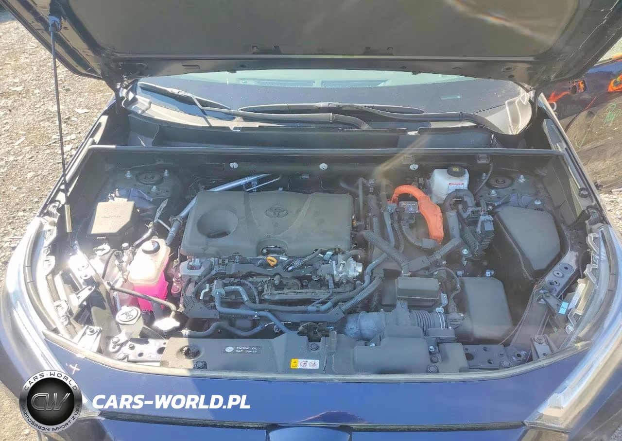 2024 Toyota Rav4 Hybrid Xle VIN:4T3RWRFV7RU155103 - 12