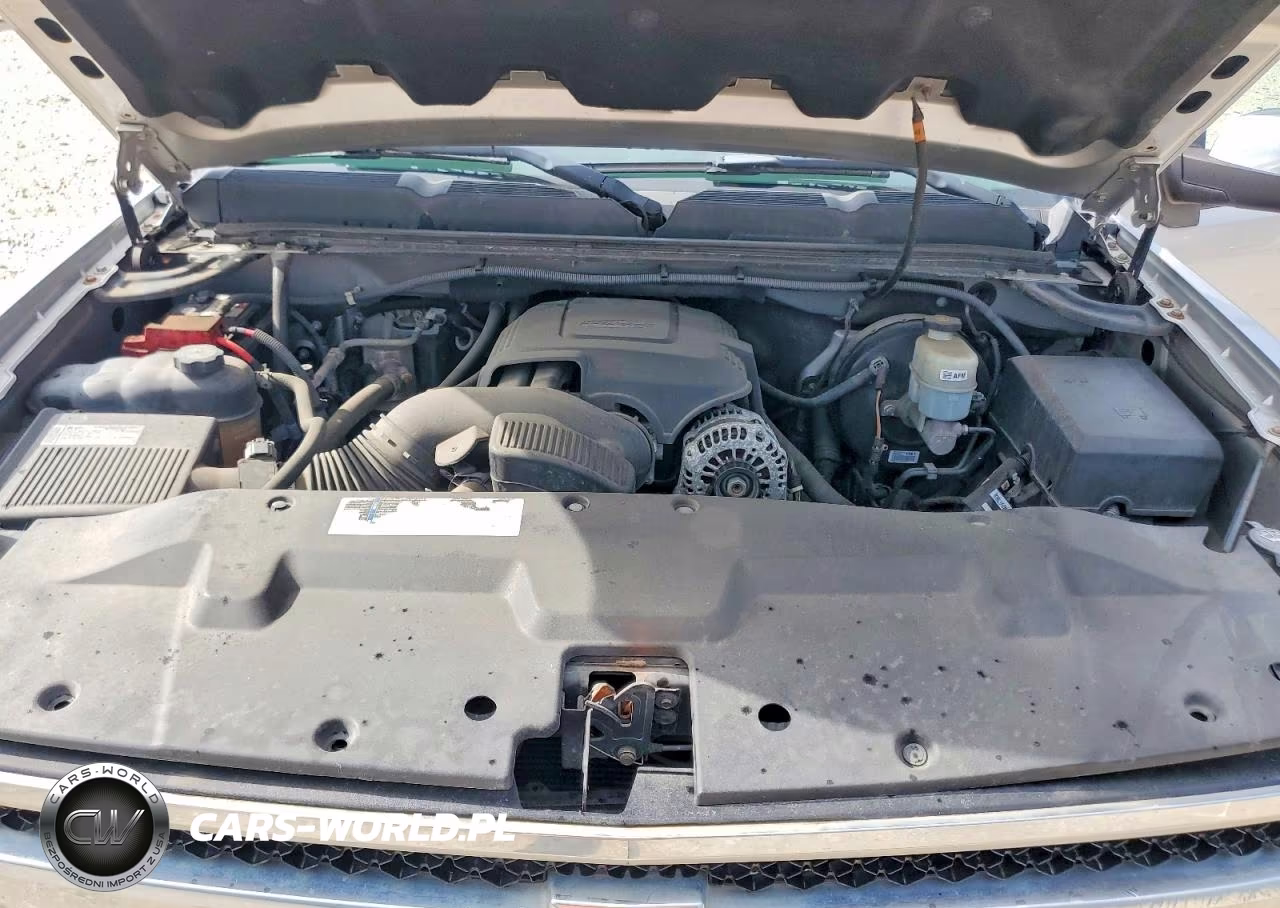 2010 Chevrolet Silverado C1500 Lt VIN:3GCRCSE03AG223083 - 11