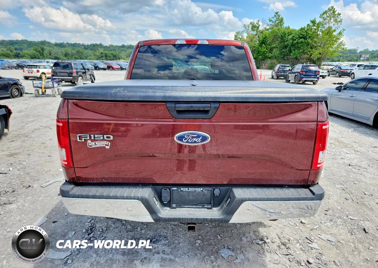 2017 Ford F-150 Supercrew VIN:1FTEW1EF7HKD91932 - 6
