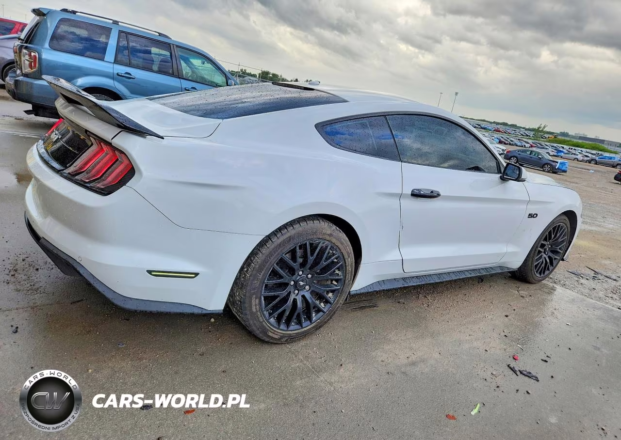 2019 Ford Mustang Gt Premium VIN:1FA6P8CF8K5122962 - 3