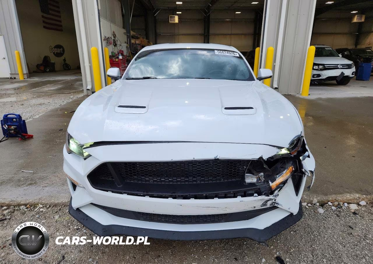 2019 Ford Mustang Gt Premium VIN:1FA6P8CF8K5122962 - 5