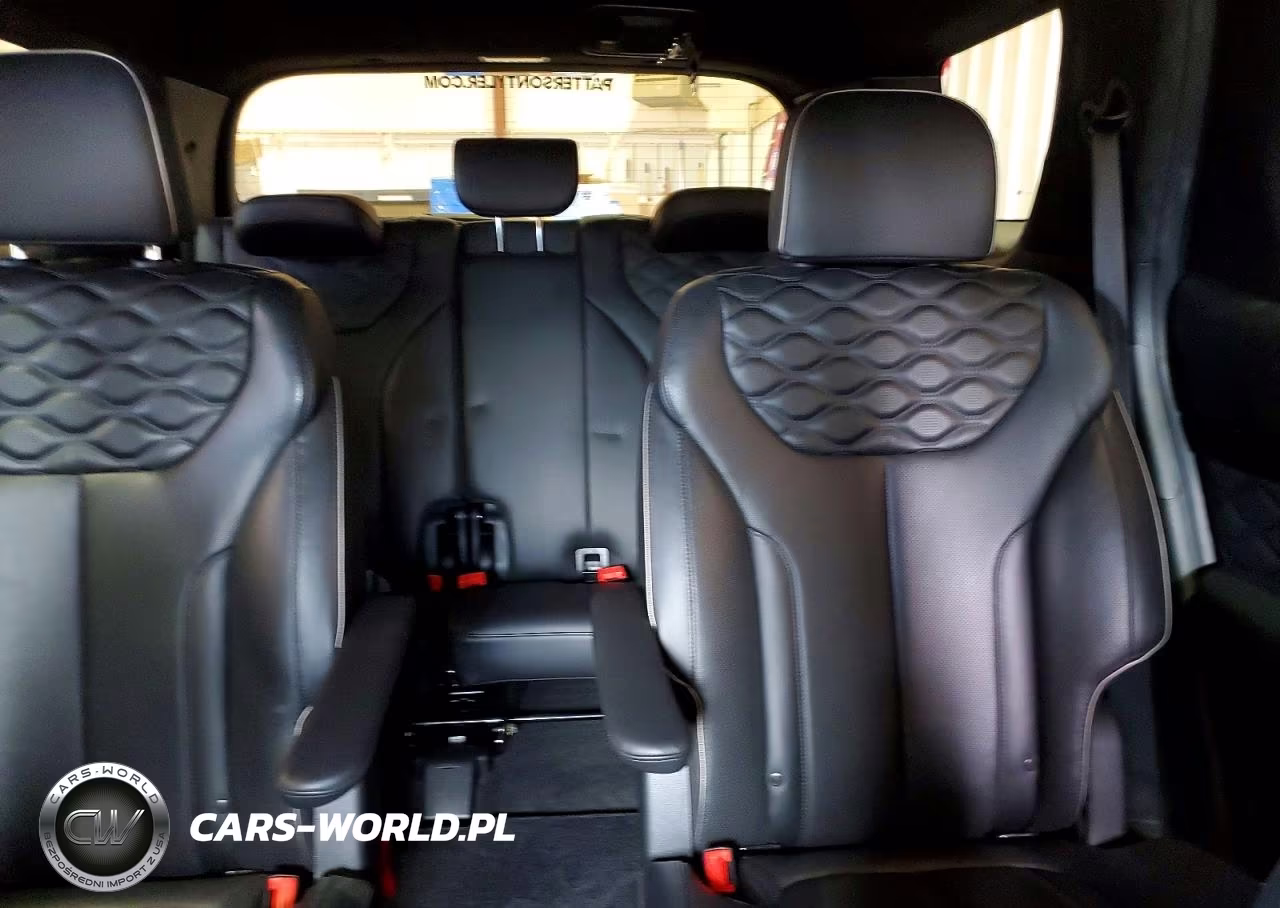 2020 Hyundai Palisade Limited VIN:KM8R5DHE9LU131453 - 10