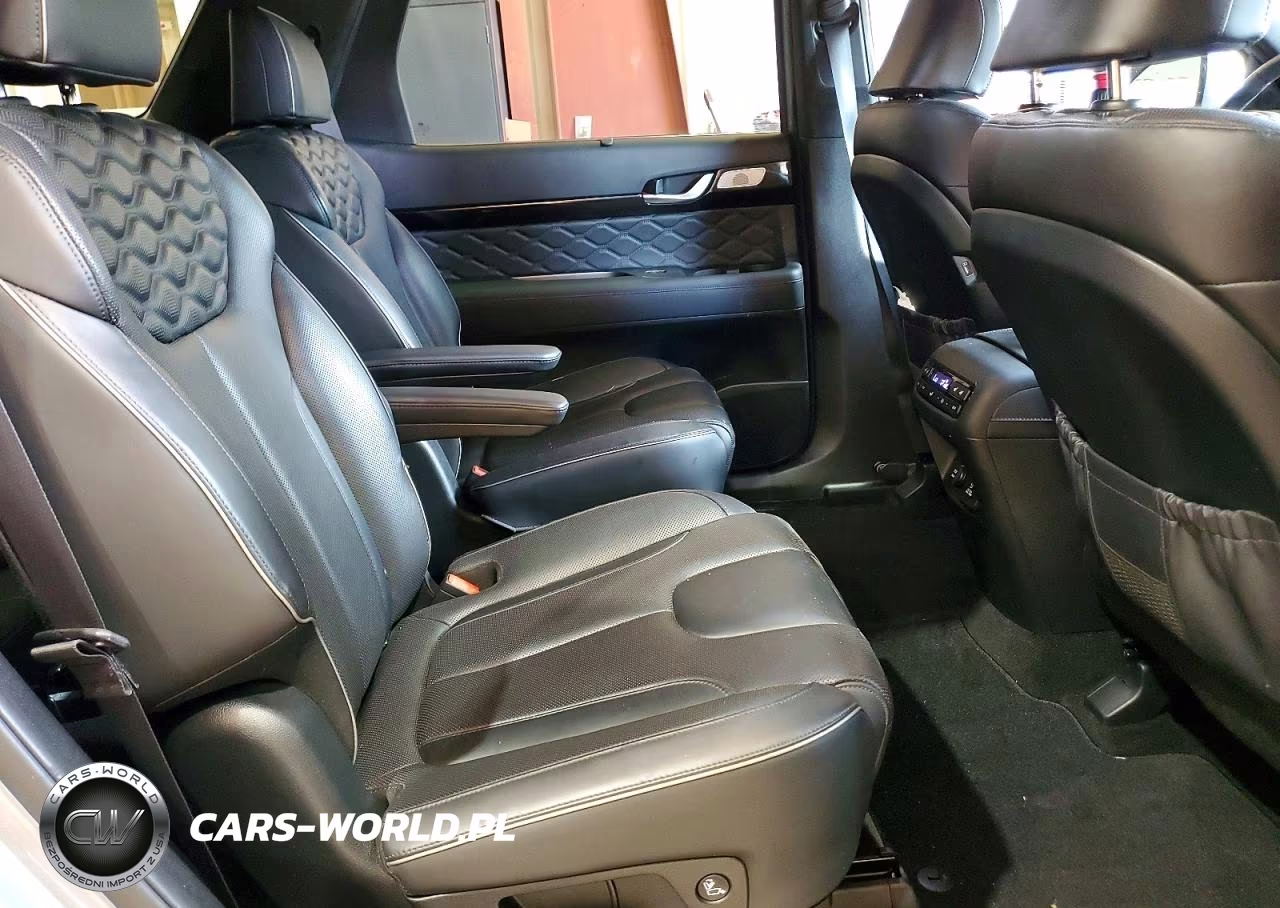 2020 Hyundai Palisade Limited VIN:KM8R5DHE9LU131453 - 11
