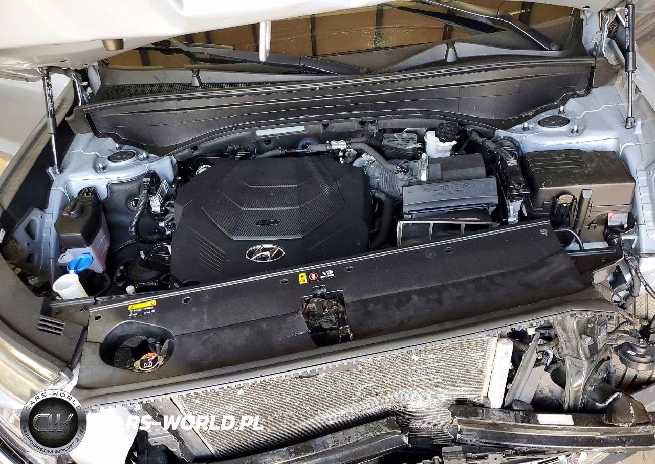 2020 Hyundai Palisade Limited VIN:KM8R5DHE9LU131453 - 12
