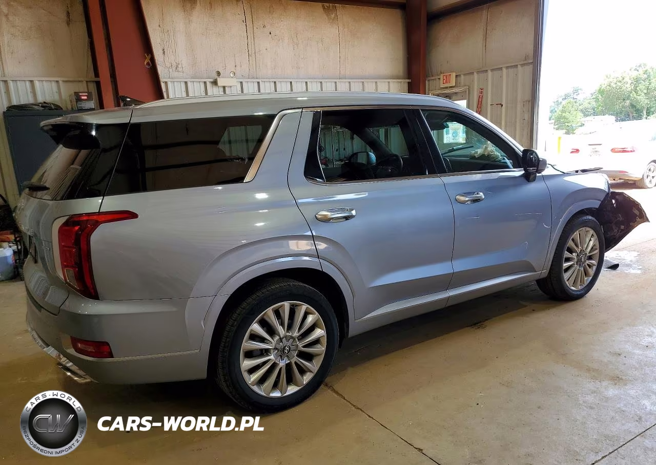 2020 Hyundai Palisade Limited VIN:KM8R5DHE9LU131453 - 3
