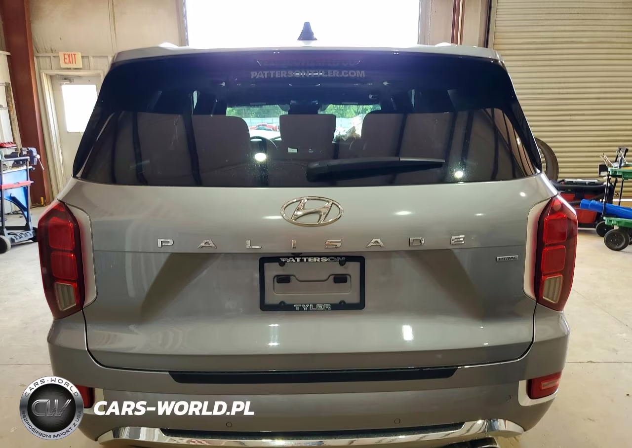 2020 Hyundai Palisade Limited VIN:KM8R5DHE9LU131453 - 6