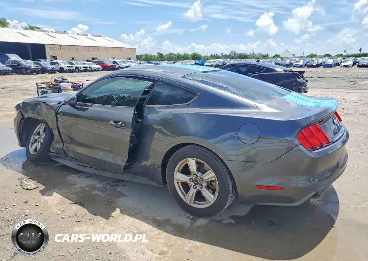 2017 Ford Mustang VIN:1FA6P8AM3H5249824 - 2