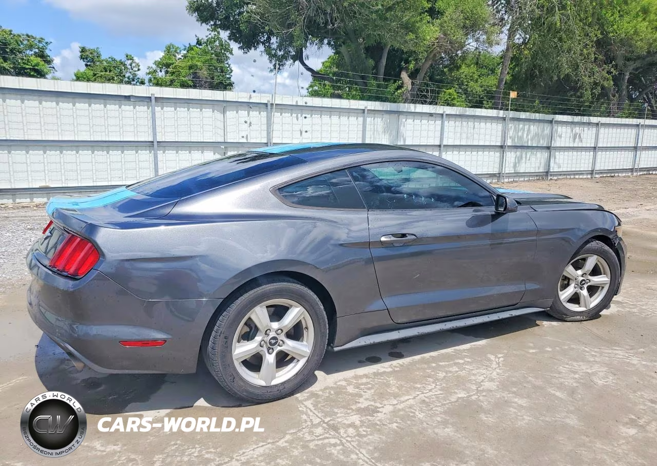 2017 Ford Mustang VIN:1FA6P8AM3H5249824 - 3
