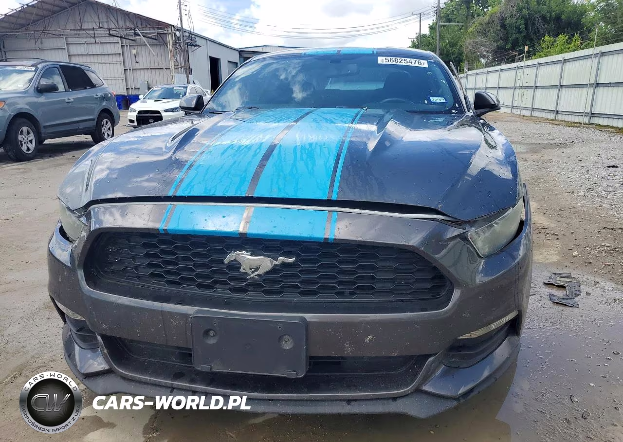 2017 Ford Mustang VIN:1FA6P8AM3H5249824 - 5