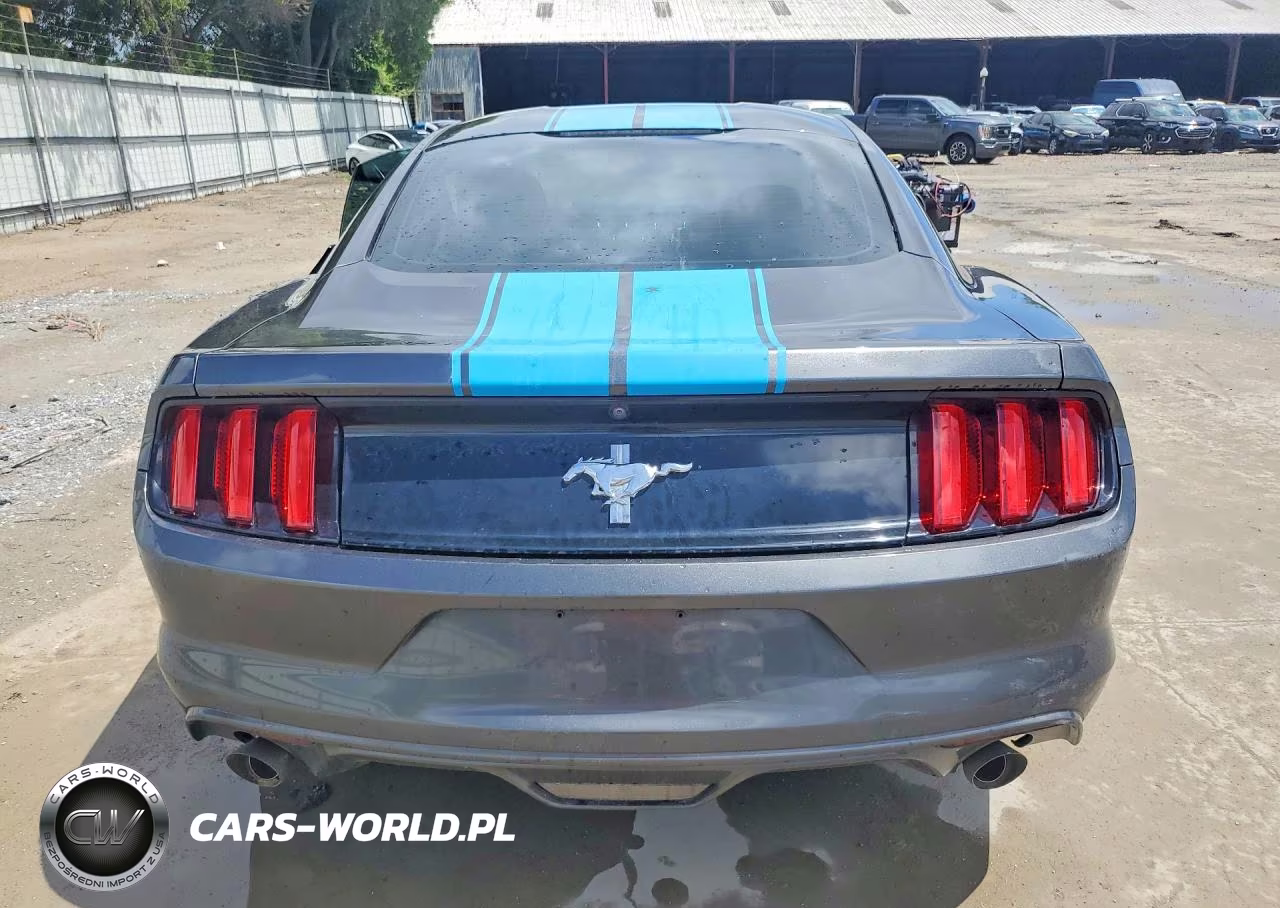 2017 Ford Mustang VIN:1FA6P8AM3H5249824 - 6