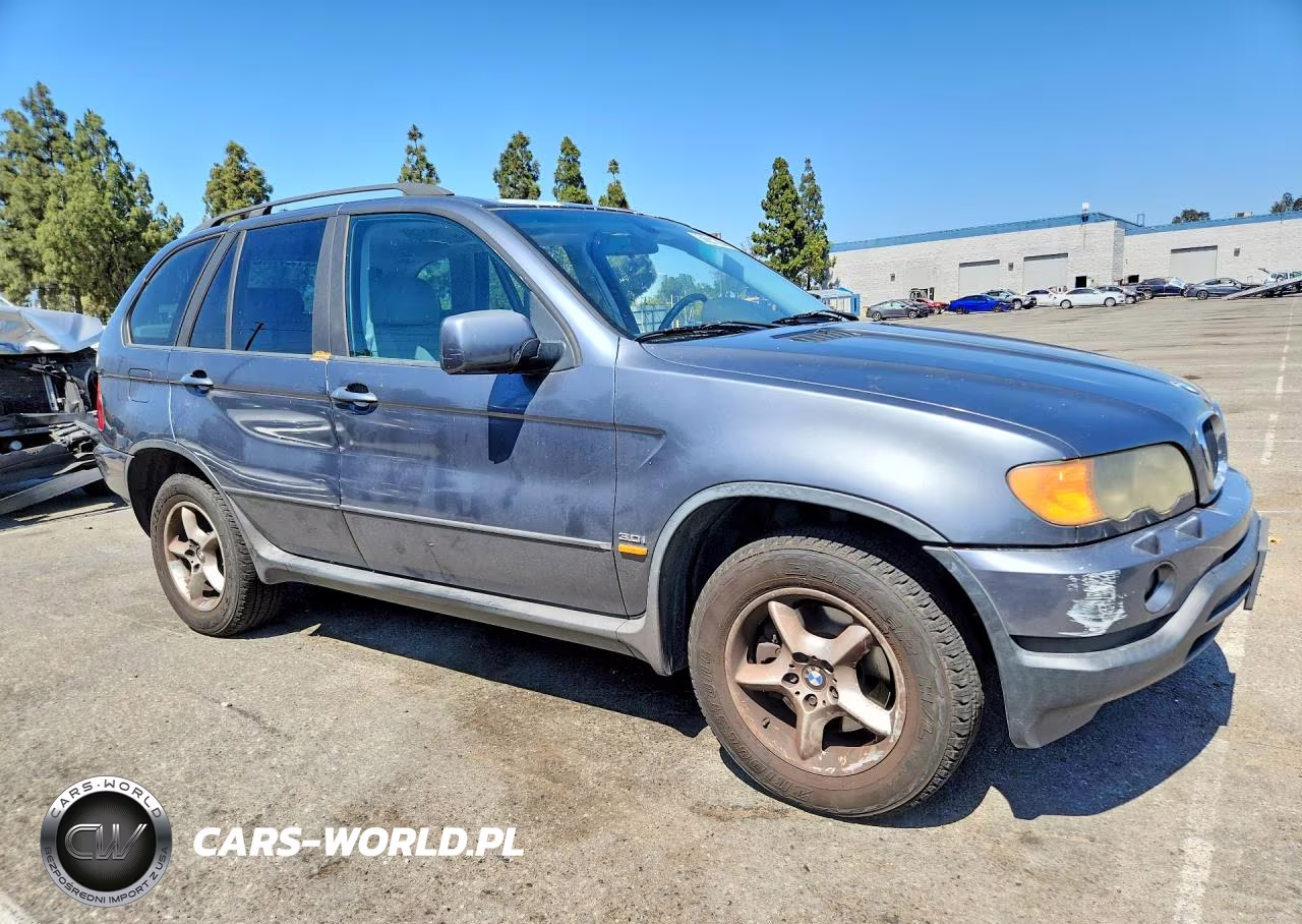 2002 BMW X5 VIN:5UXFA53572LP56775 - 4