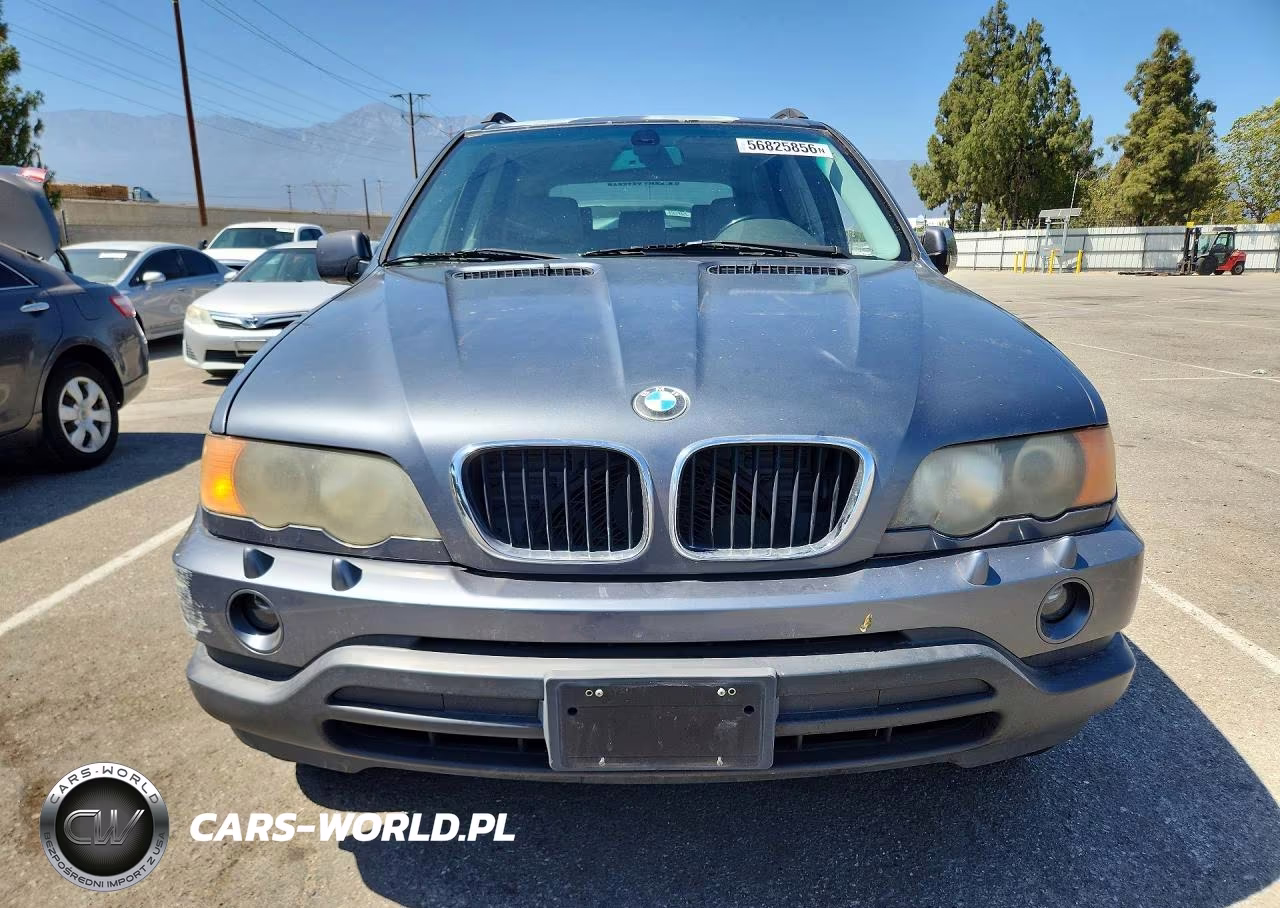 2002 BMW X5 VIN:5UXFA53572LP56775 - 5