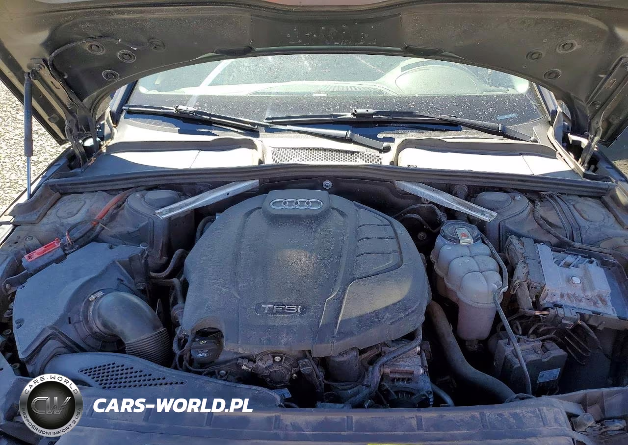 2019 Audi A4 Premium Plus VIN:WAUENAF4XKN013574 - 11