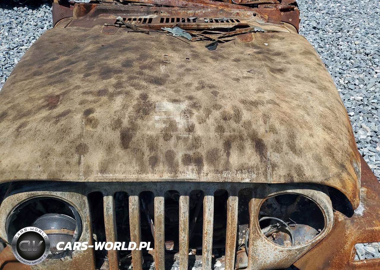 1997 Jeep Wrangler - Tj Sport VIN:1J4FY19S2VP533747 - 11