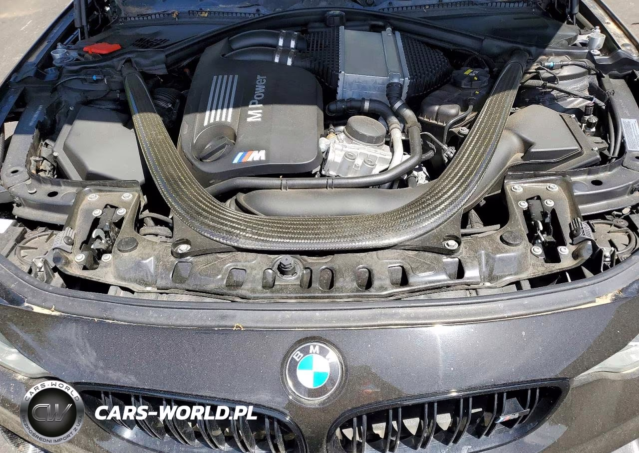 2016 BMW M4 VIN:WBS3R9C50GK337449 - 11