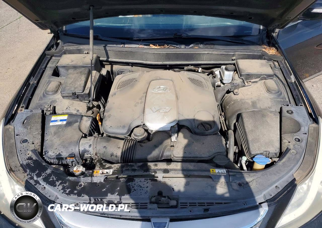 2012 Hyundai Genesis 4.6L VIN:KMHGC4DF3CU173869 - 11
