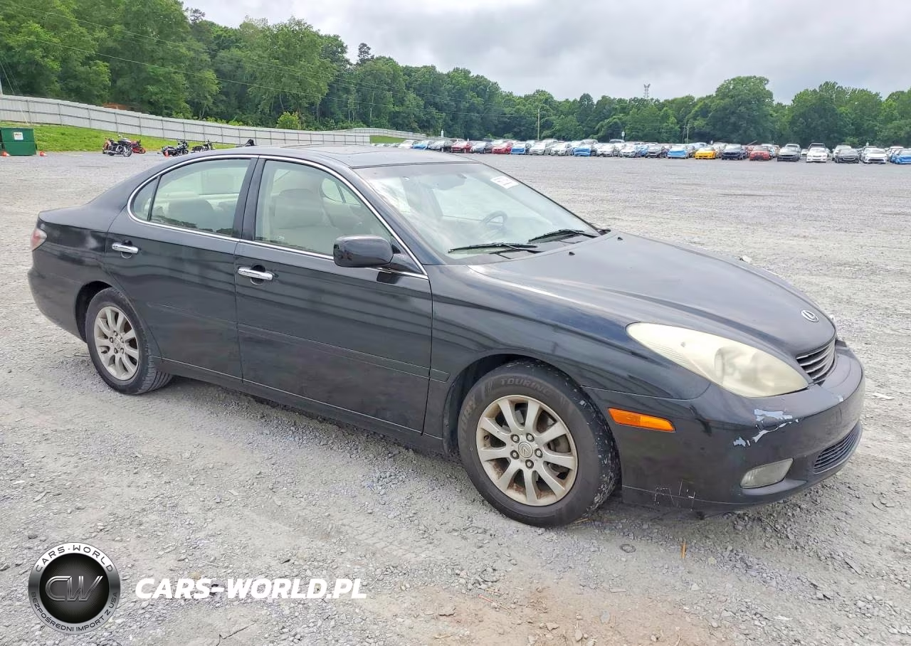 2004 Lexus Es 330 VIN:JTHBA30G345037622 - 4