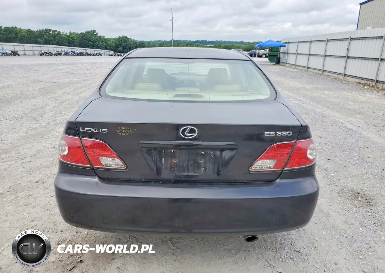 2004 Lexus Es 330 VIN:JTHBA30G345037622 - 6