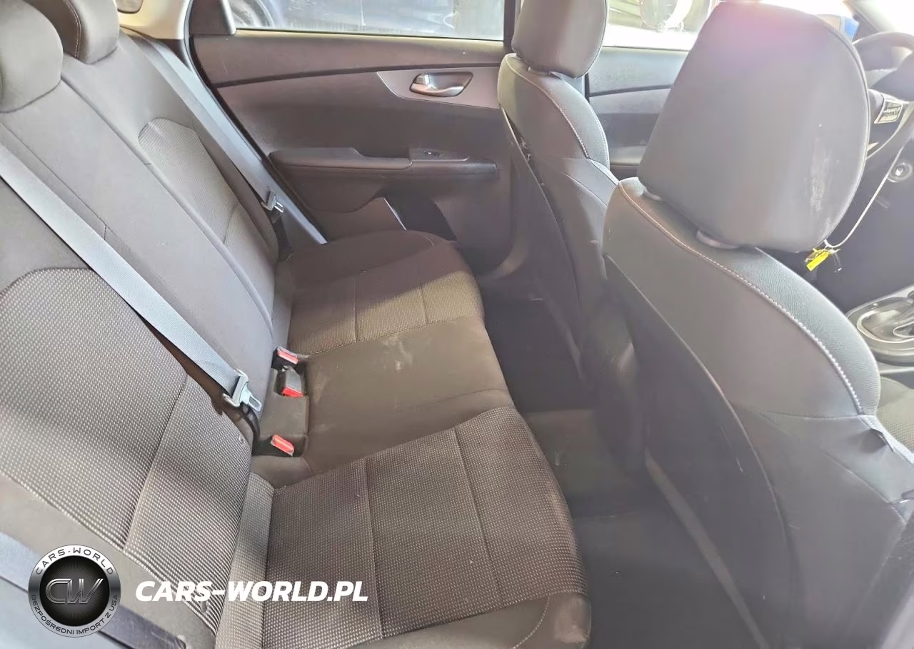 2019 Kia Forte Lxs VIN:3KPF24AD5KE124742 - 10