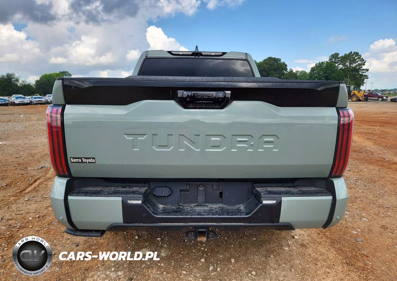 2024 Toyota Tundra Platinum VIN:5TFNA5AB6RX039261 - 6