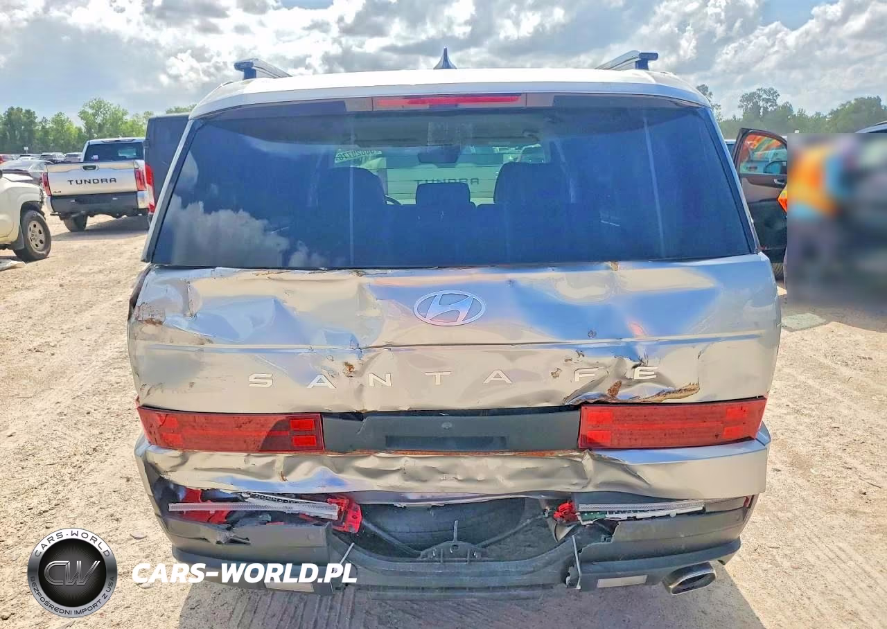 2025 Hyundai Santa Fe Sel VIN:5NMP24GLXSH089613 - 6