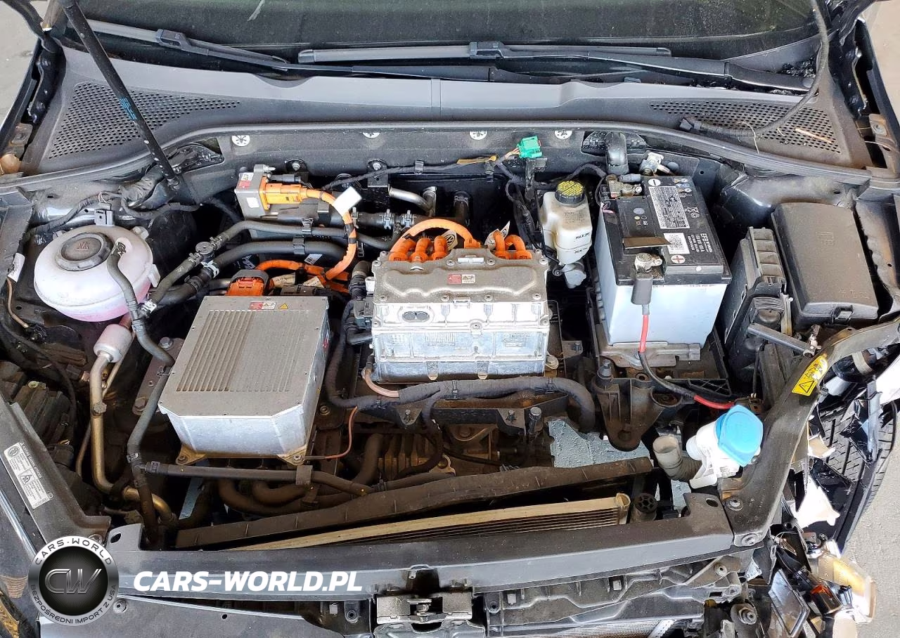 2019 Volkswagen E-Golf Se VIN:WVWKR7AU7KW915873 - 11