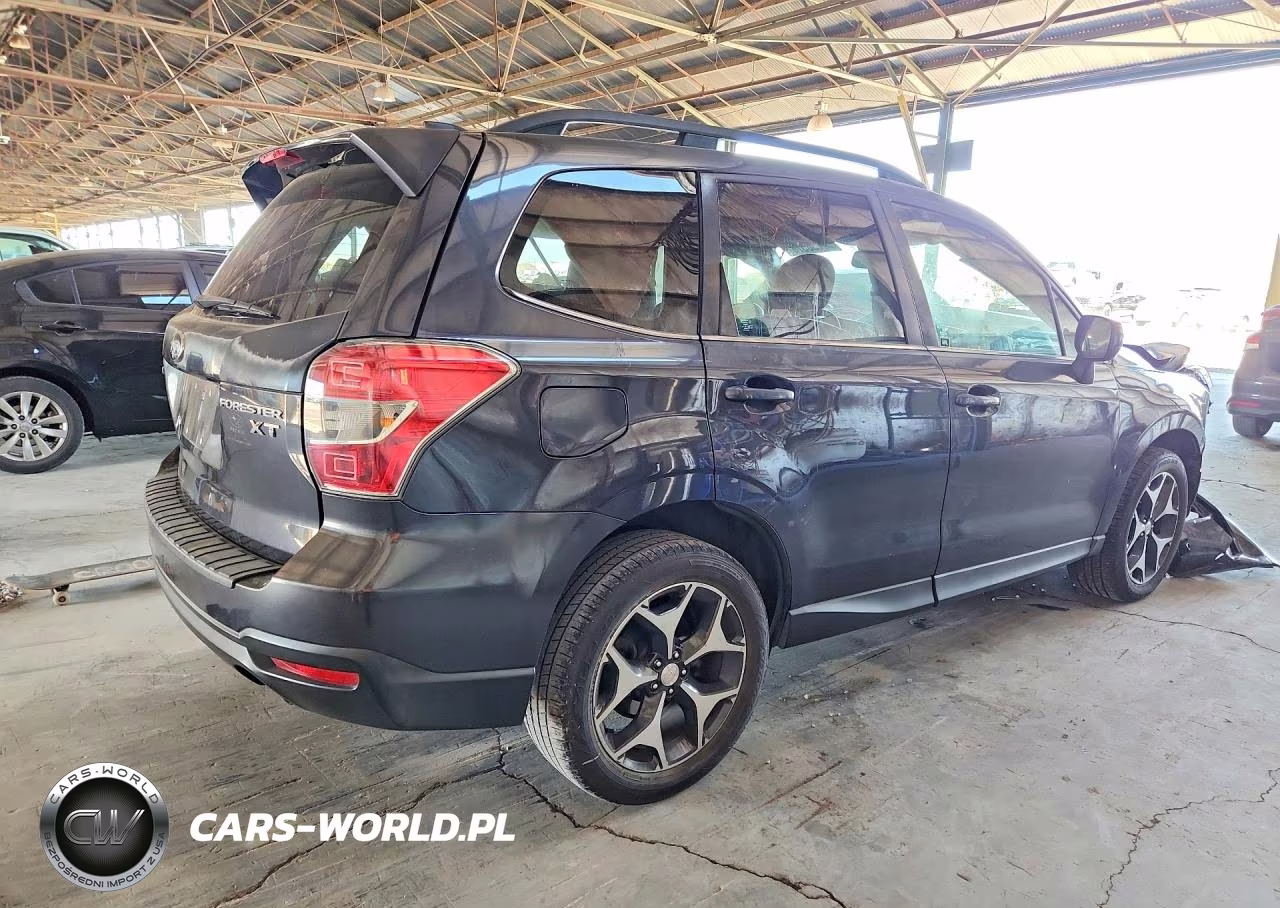 2016 Subaru Forester 2.0Xt Premium VIN:JF2SJGDC0GH499429 - 3