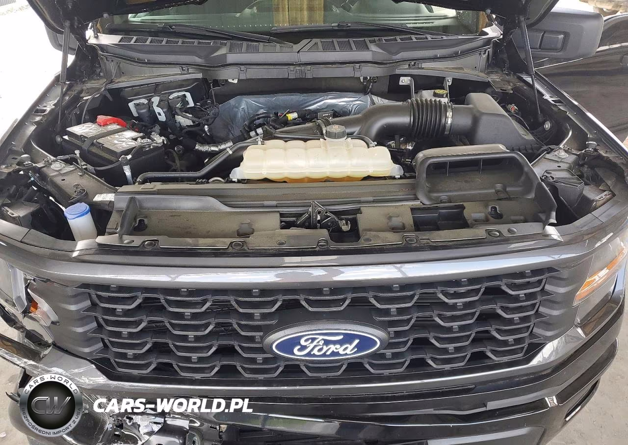 2025 Ford F150 Stx VIN:1FTEW2LP2SKD66171 - 11